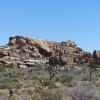Joshua Tree National Park