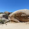 Joshua Tree National Park