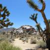 Joshua Tree National Park