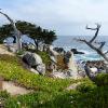 Monterey
