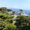 Monterey