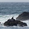 Monterey