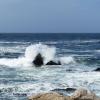 Monterey