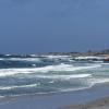 Monterey