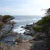 Monterey