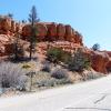 Red Canyon