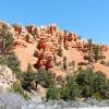 Red Canyon