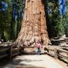 Sequoia National Park