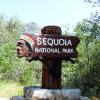 Sequoia National Park
