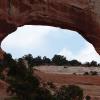 Wilson Arch