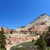 Zion National Park