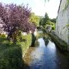 Bayeux