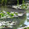 Giverny