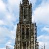 Ulm