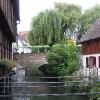 Ulm